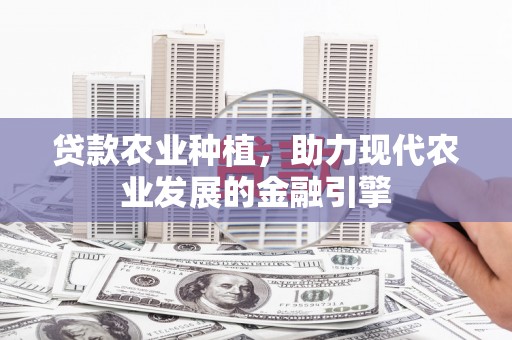 依兰贷款农业种植，助力现代农业发展的金融引擎