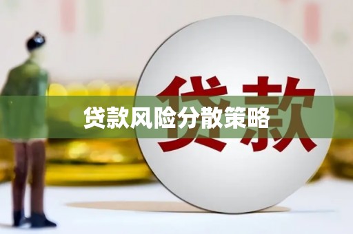 大丰贷款风险分散策略