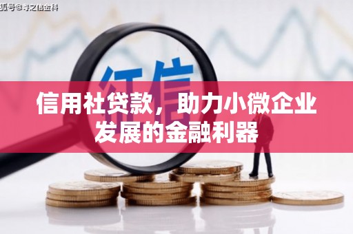 西岗信用社贷款，助力小微企业发展的金融利器