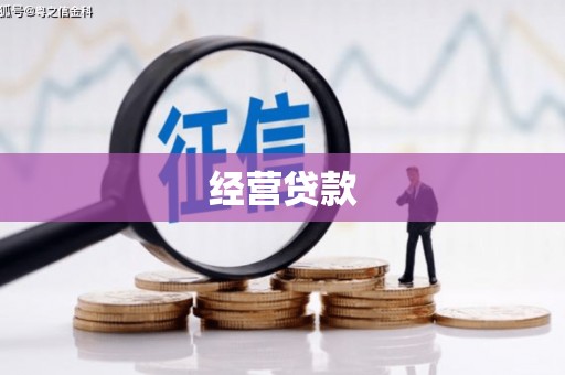 丽江经营贷款