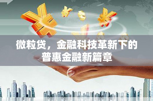 城东微粒贷，金融科技革新下的普惠金融新篇章