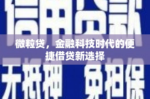 保税区微粒贷，金融科技时代的便捷借贷新选择
