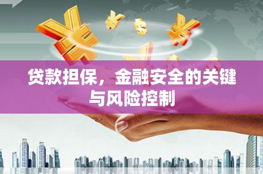 仁爱贷款担保，金融安全的关键与风险控制
