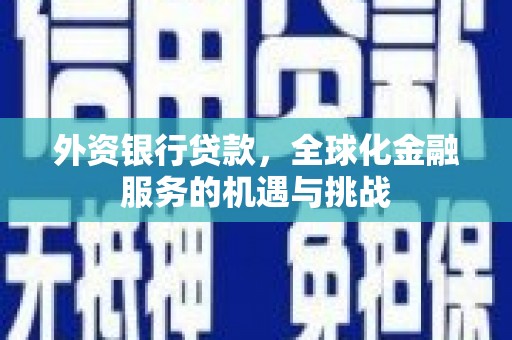 大树外资银行贷款，全球化金融服务的机遇与挑战