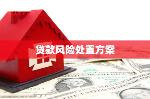 丹寨贷款风险处置方案