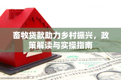 永年畜牧贷款助力乡村振兴，政策解读与实操指南