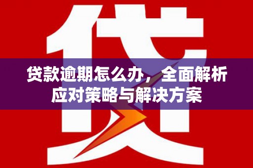 丰南贷款逾期怎么办，全面解析应对策略与解决方案