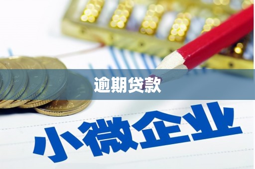 渝中逾期贷款