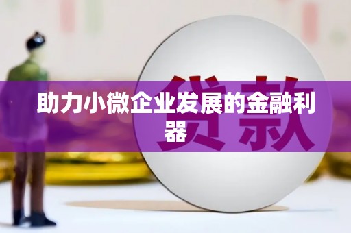 善化助力小微企业发展的金融利器