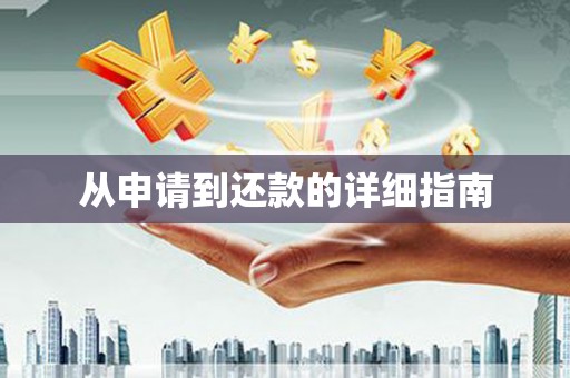 善化从申请到还款的详细指南