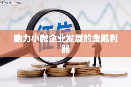 卓尼助力小微企业发展的金融利器