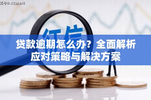 澧县贷款逾期怎么办？全面解析应对策略与解决方案