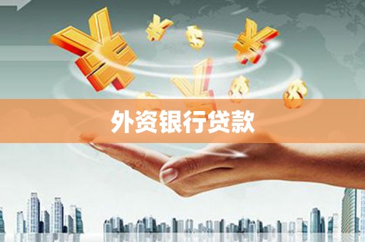 宛城外资银行贷款