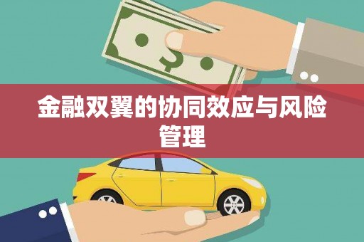 大宁金融双翼的协同效应与风险管理