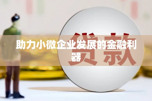 温宿助力小微企业发展的金融利器
