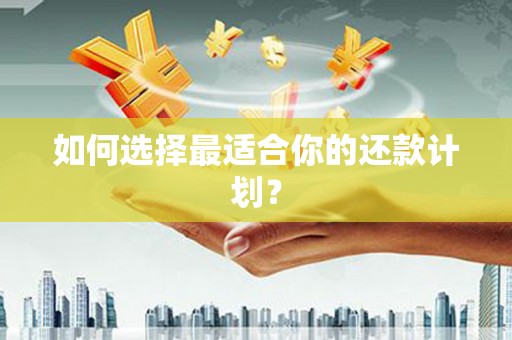 辽源如何选择最适合你的还款计划？