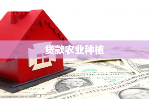 文安贷款农业种植