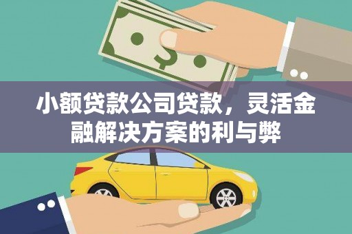 东方小额贷款公司贷款，灵活金融解决方案的利与弊