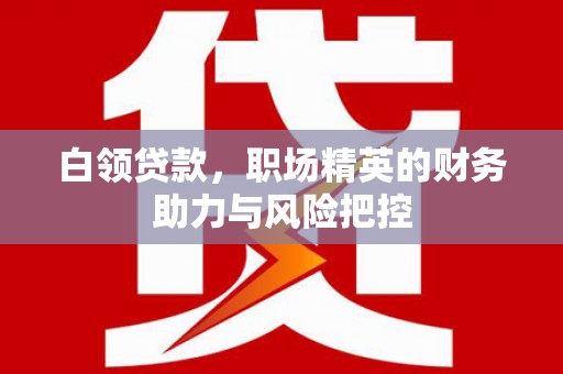 勐海白领贷款,职场精英的财务助力与风险把控 勐海白领贷款,职场精英的财务助力与风险把控